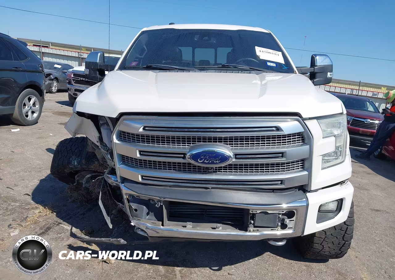 2016 Ford F-150 Platinum VIN:1FTEW1EG3GFA46008 - 12