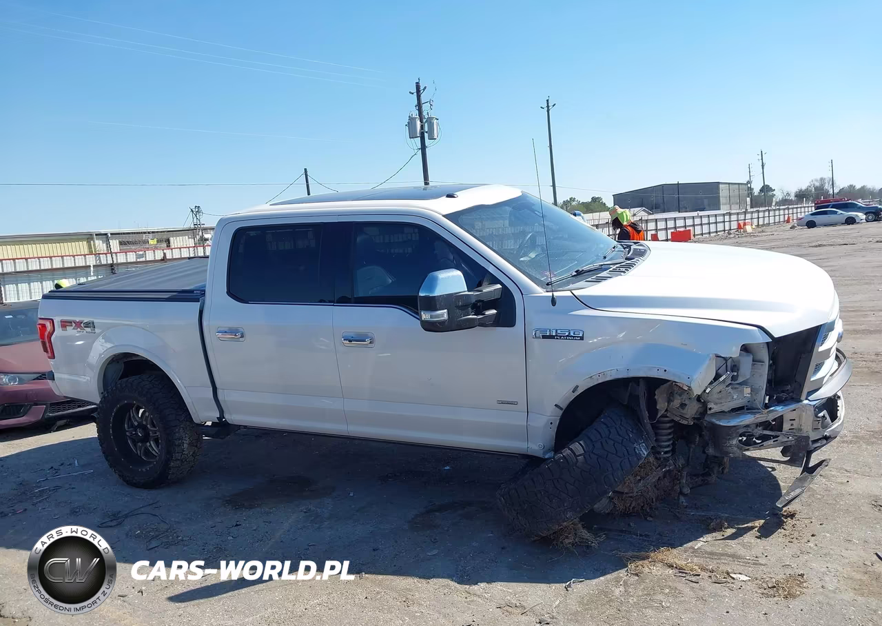 2016 Ford F-150 Platinum VIN:1FTEW1EG3GFA46008 - 13