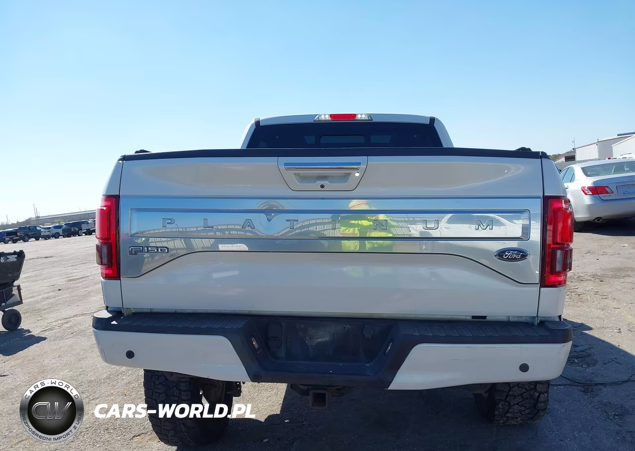 2016 Ford F-150 Platinum VIN:1FTEW1EG3GFA46008 - 16