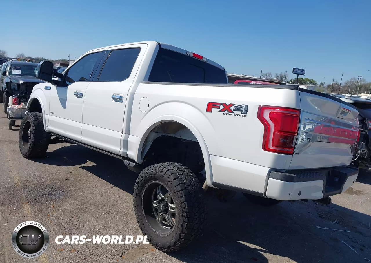 2016 Ford F-150 Platinum VIN:1FTEW1EG3GFA46008 - 3