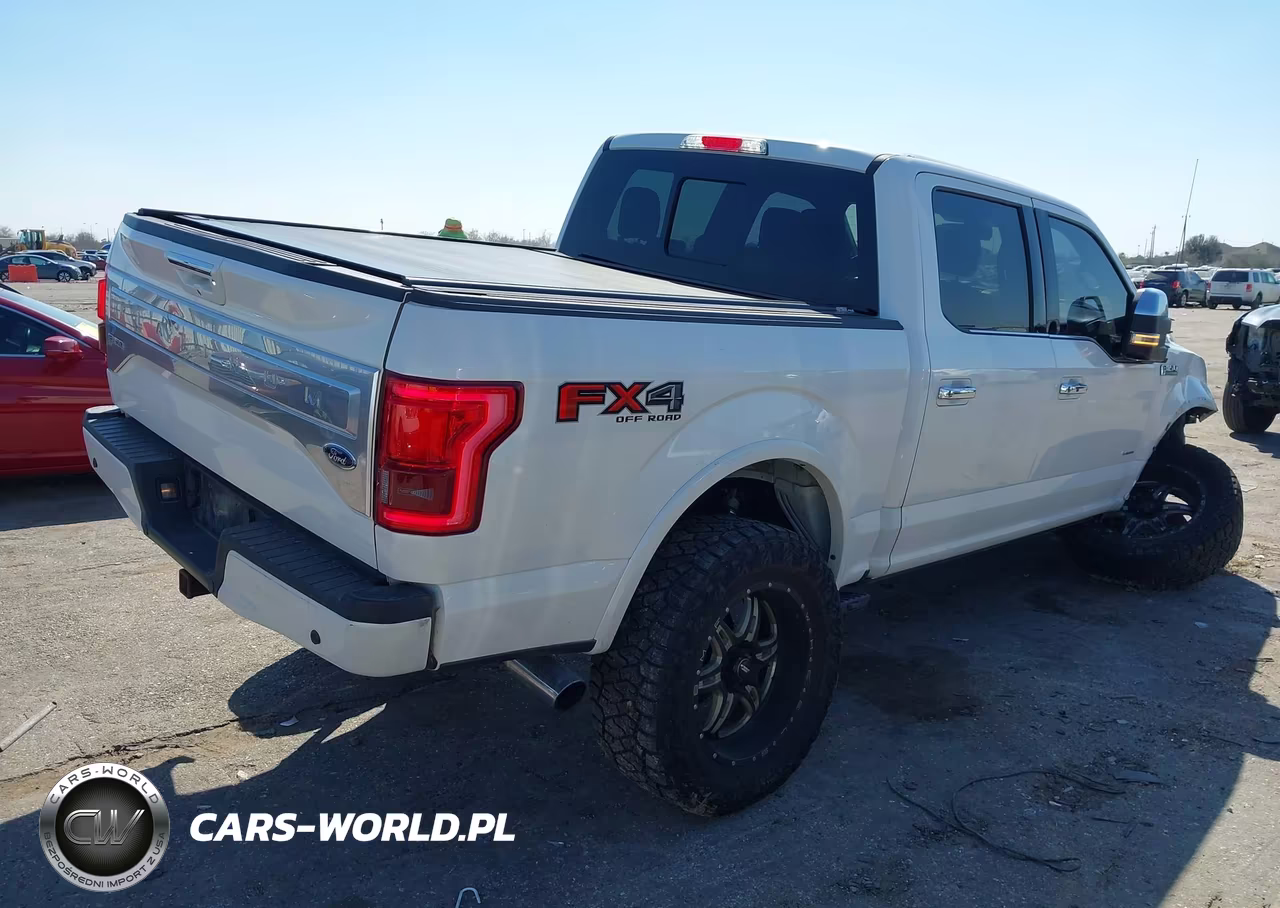 2016 Ford F-150 Platinum VIN:1FTEW1EG3GFA46008 - 4