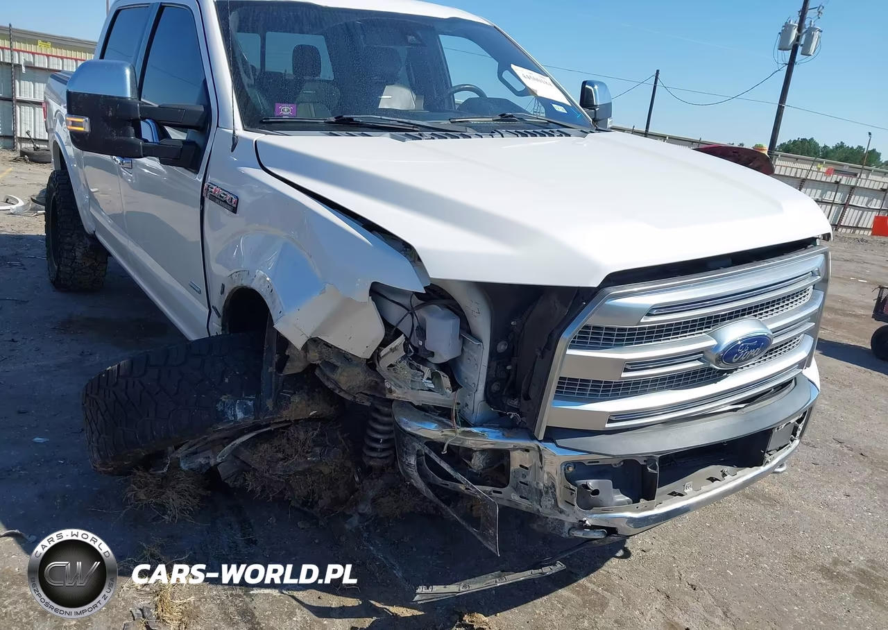 2016 Ford F-150 Platinum VIN:1FTEW1EG3GFA46008 - 6
