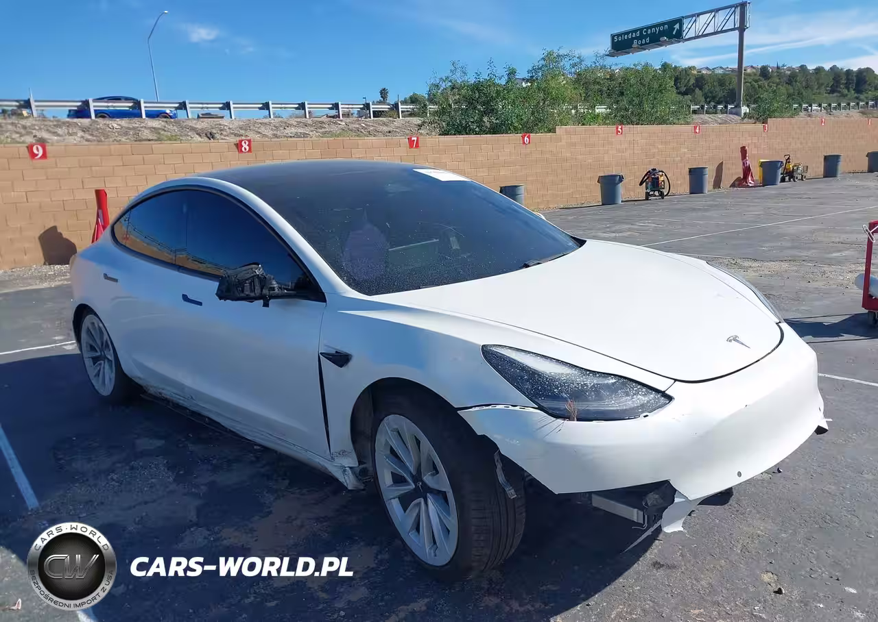 2021 Tesla Model 3 Long Range Dual Motor All-Wheel Drive