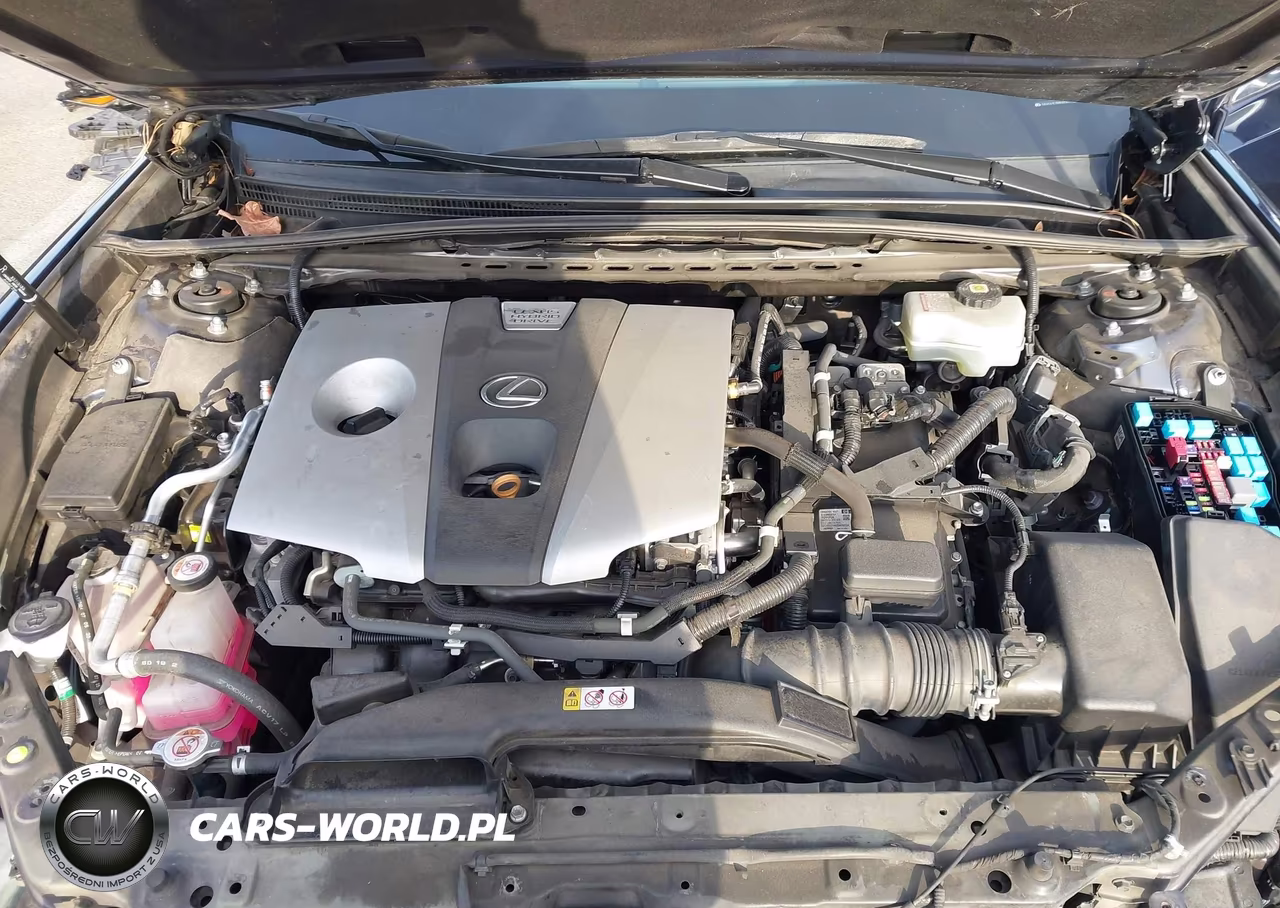 2021 Lexus Es 300H VIN:58ADA1C19MU004575 - 10