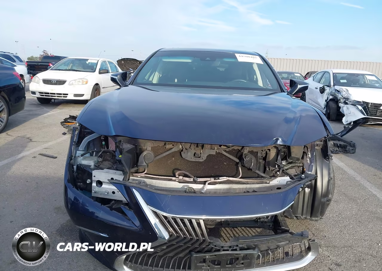 2021 Lexus Es 300H VIN:58ADA1C19MU004575 - 12