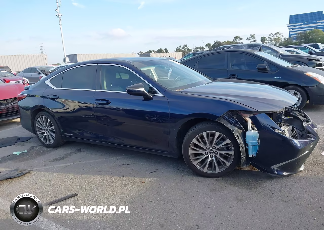 2021 Lexus Es 300H VIN:58ADA1C19MU004575 - 13
