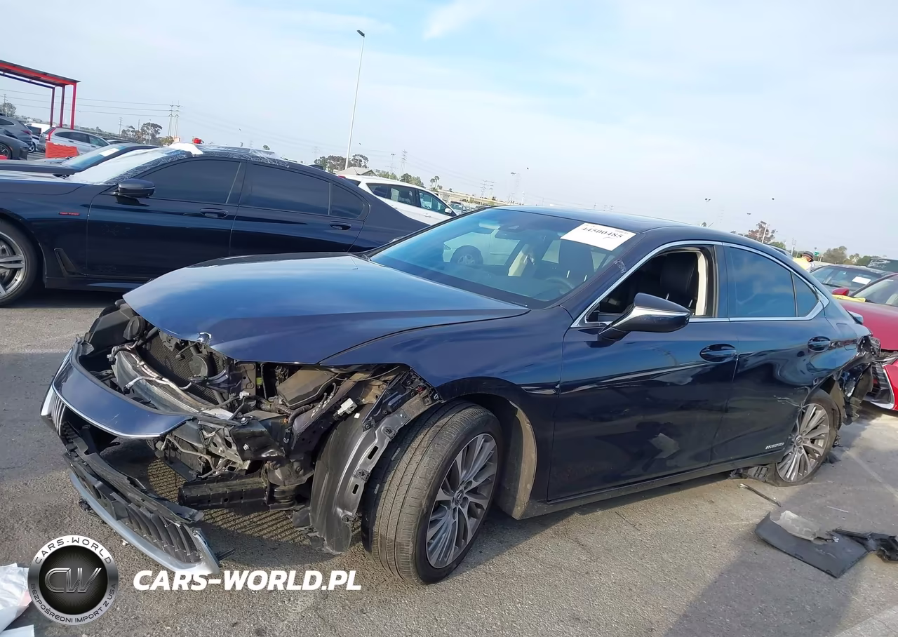 2021 Lexus Es 300H VIN:58ADA1C19MU004575 - 14