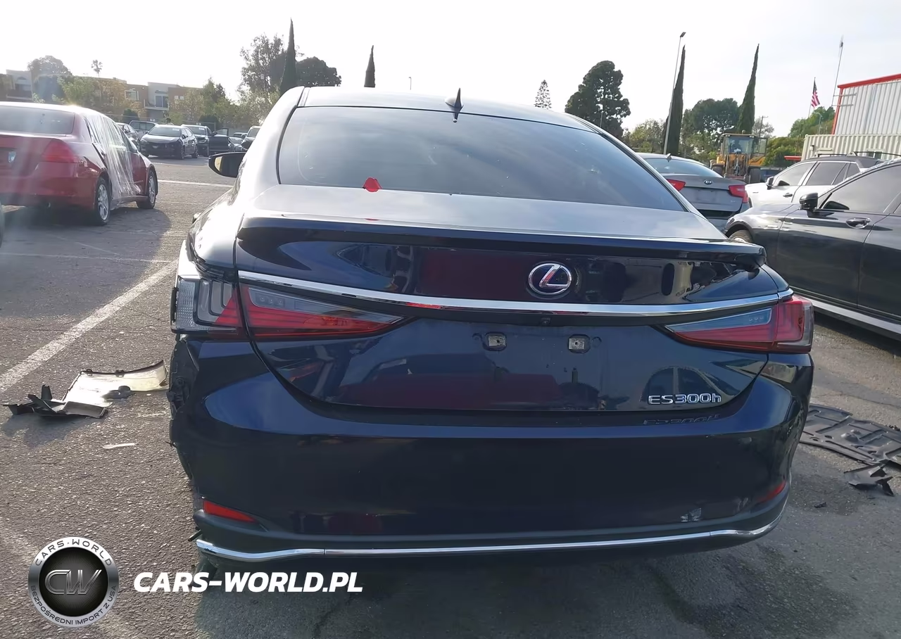 2021 Lexus Es 300H VIN:58ADA1C19MU004575 - 16