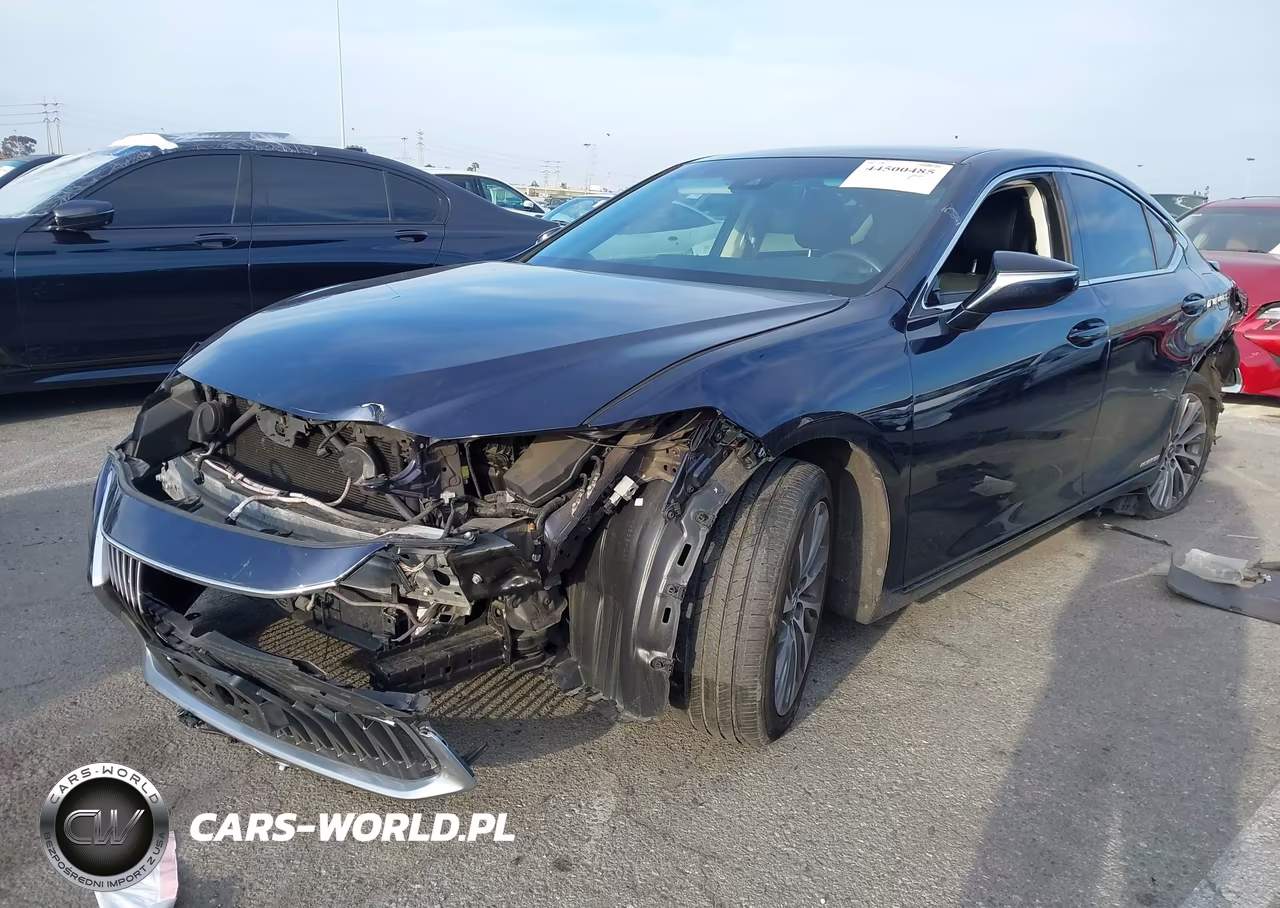 2021 Lexus Es 300H VIN:58ADA1C19MU004575 - 2
