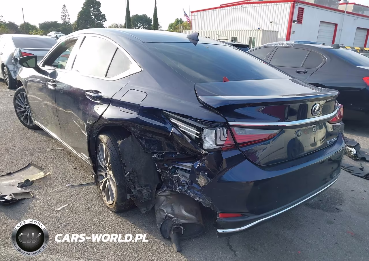 2021 Lexus Es 300H VIN:58ADA1C19MU004575 - 3