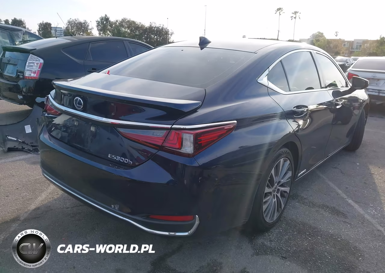 2021 Lexus Es 300H VIN:58ADA1C19MU004575 - 4