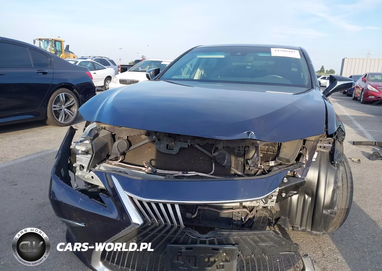 2021 Lexus Es 300H VIN:58ADA1C19MU004575 - 6