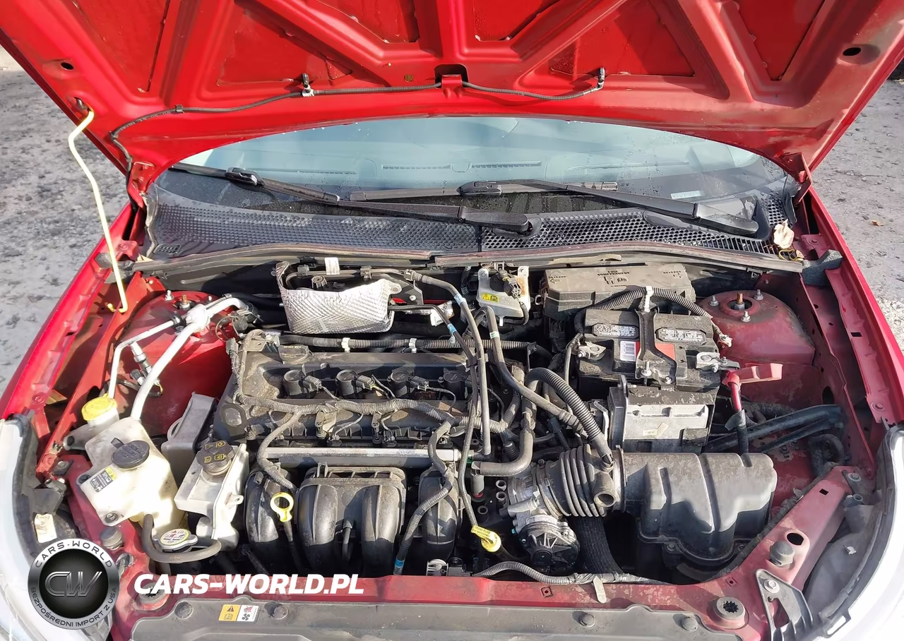 2009 Ford Focus Se VIN:1FAHP35N39W118211 - 10