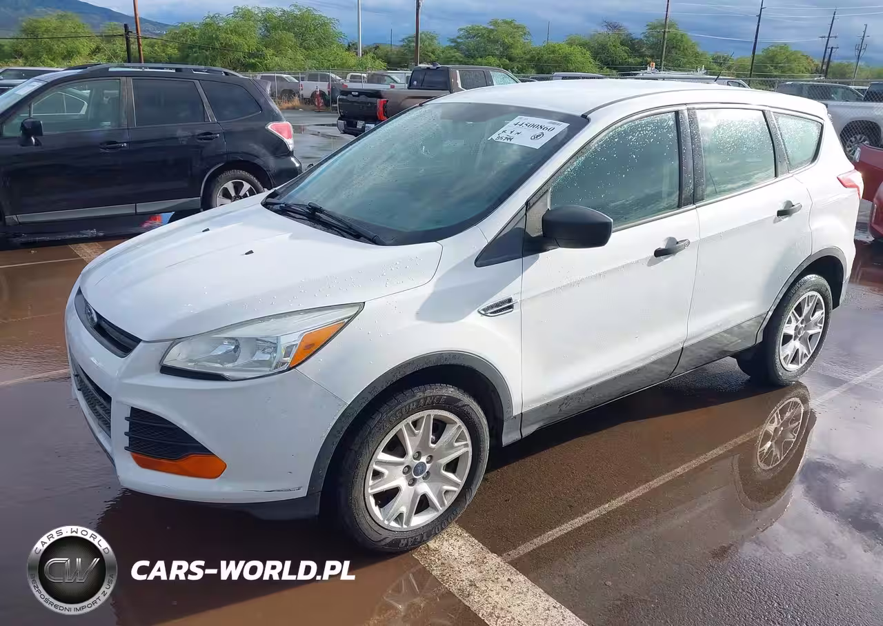 2013 Ford Escape S VIN:1FMCU0F78DUA48149 - 2