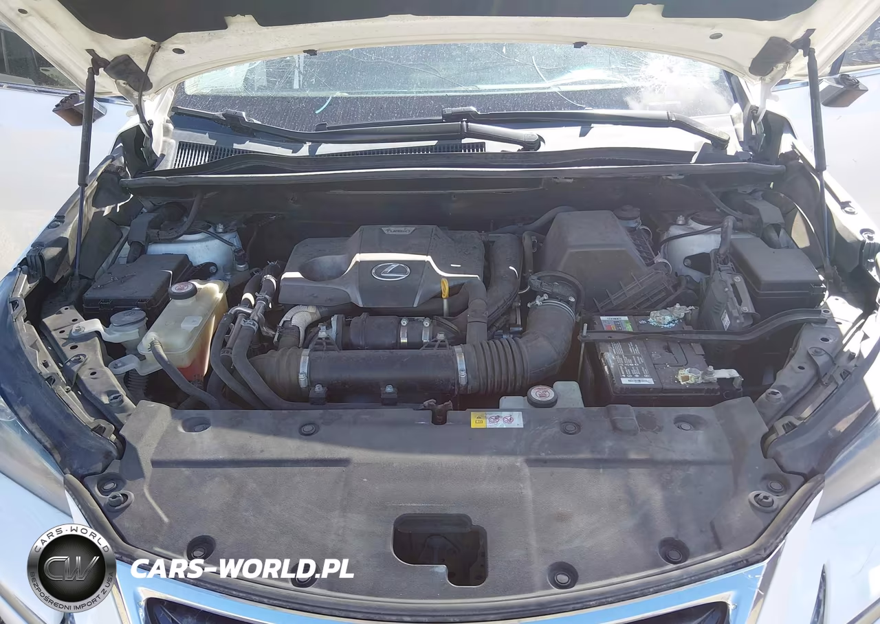 2017 Lexus Nx Nx Turbo VIN:JTJYARBZ8H2065384 - 10