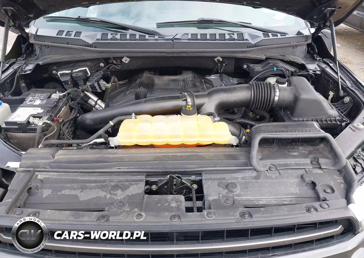2019 Ford F-150 Xlt VIN:1FTEW1E43KKC34498 - 10
