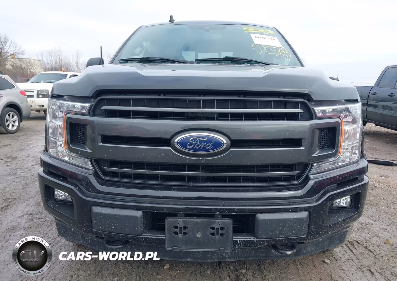 2019 Ford F-150 Xlt VIN:1FTEW1E43KKC34498 - 12