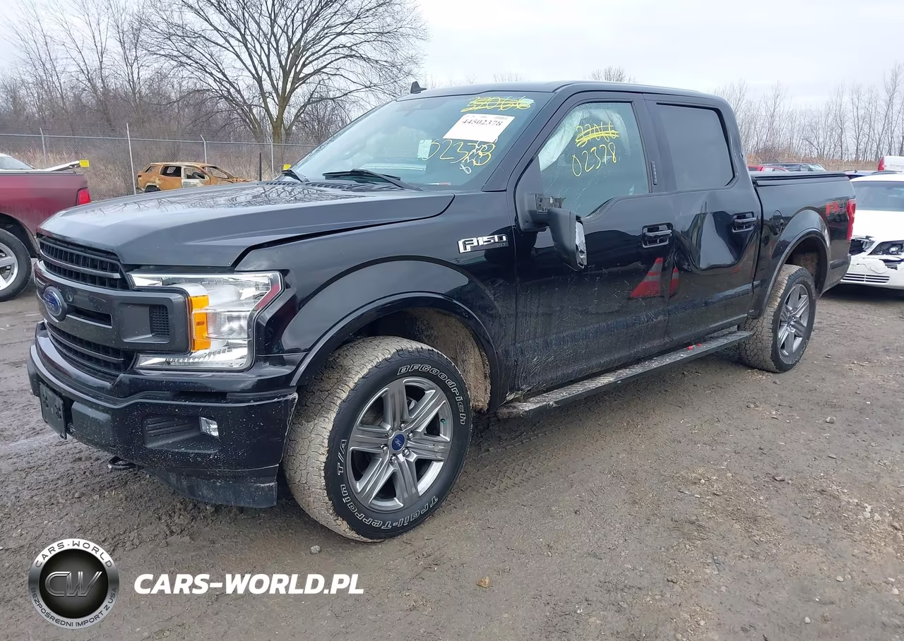 2019 Ford F-150 Xlt VIN:1FTEW1E43KKC34498 - 2