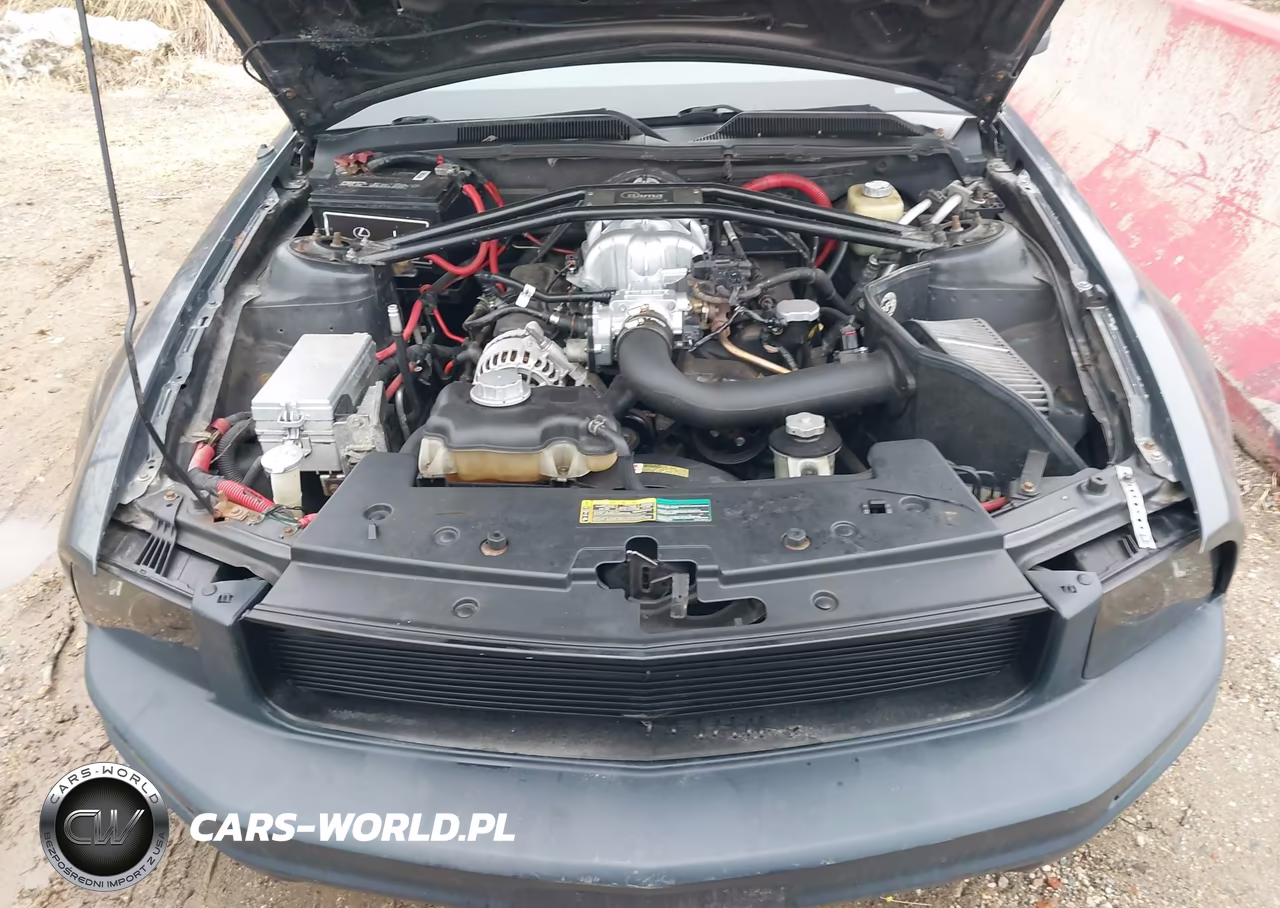 2007 Ford Mustang V6 Deluxe-V6 Premium VIN:1ZVFT80N775269957 - 10