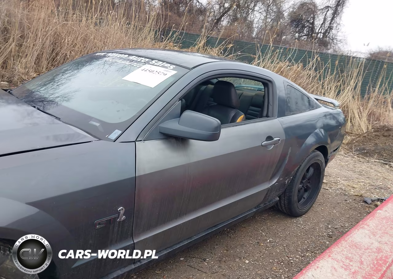 2007 Ford Mustang V6 Deluxe-V6 Premium VIN:1ZVFT80N775269957 - 12