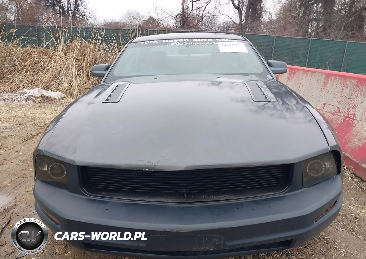 2007 Ford Mustang V6 Deluxe-V6 Premium VIN:1ZVFT80N775269957 - 14