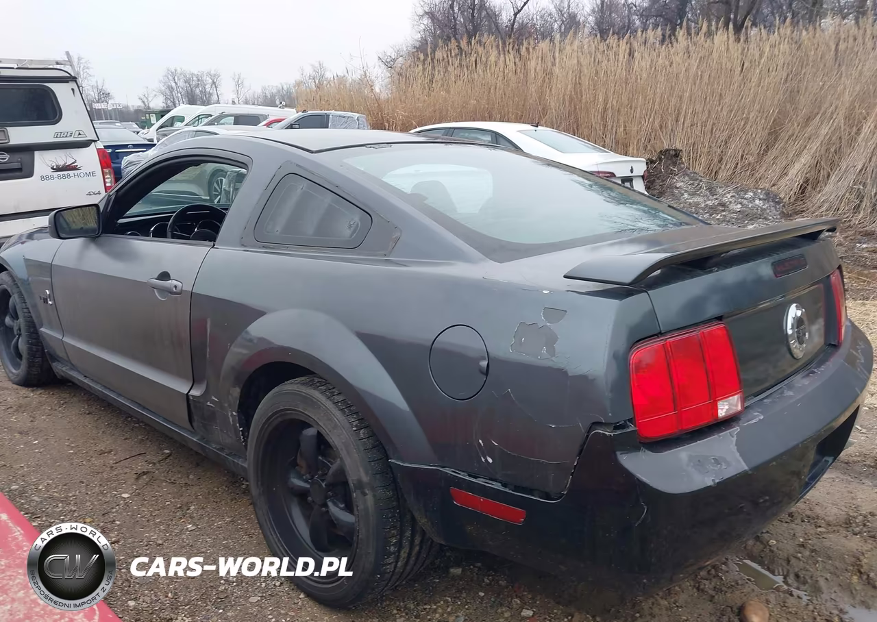 2007 Ford Mustang V6 Deluxe-V6 Premium VIN:1ZVFT80N775269957 - 6