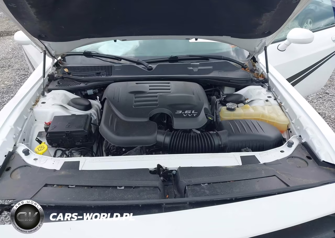 2018 Dodge Challenger Sxt Plus VIN:2C3CDZAG2JH258703 - 10