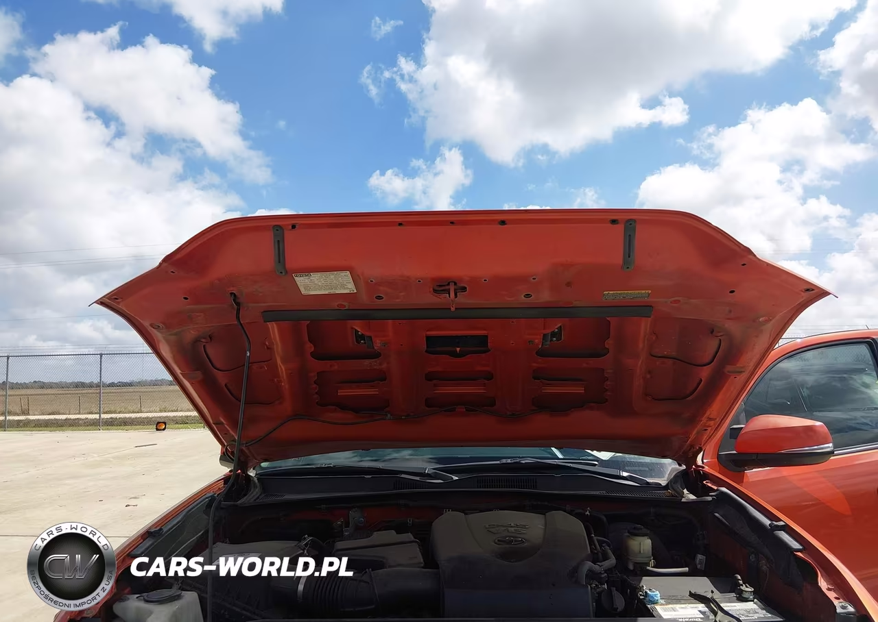 2017 Toyota Tacoma Trd Sport VIN:5TFCZ5AN3HX048797 - 10
