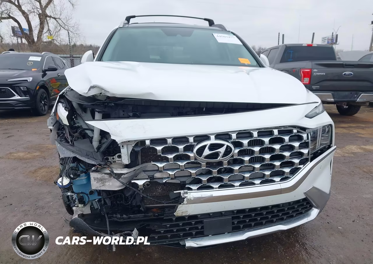 2021 Hyundai Santa Fe Limited VIN:5NMS44AL8MH316474 - 12