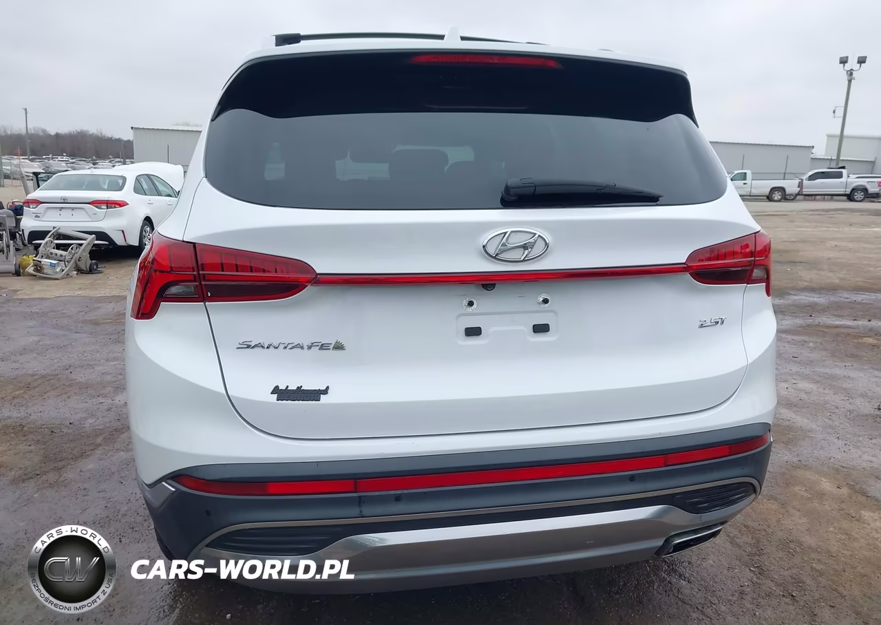 2021 Hyundai Santa Fe Limited VIN:5NMS44AL8MH316474 - 16