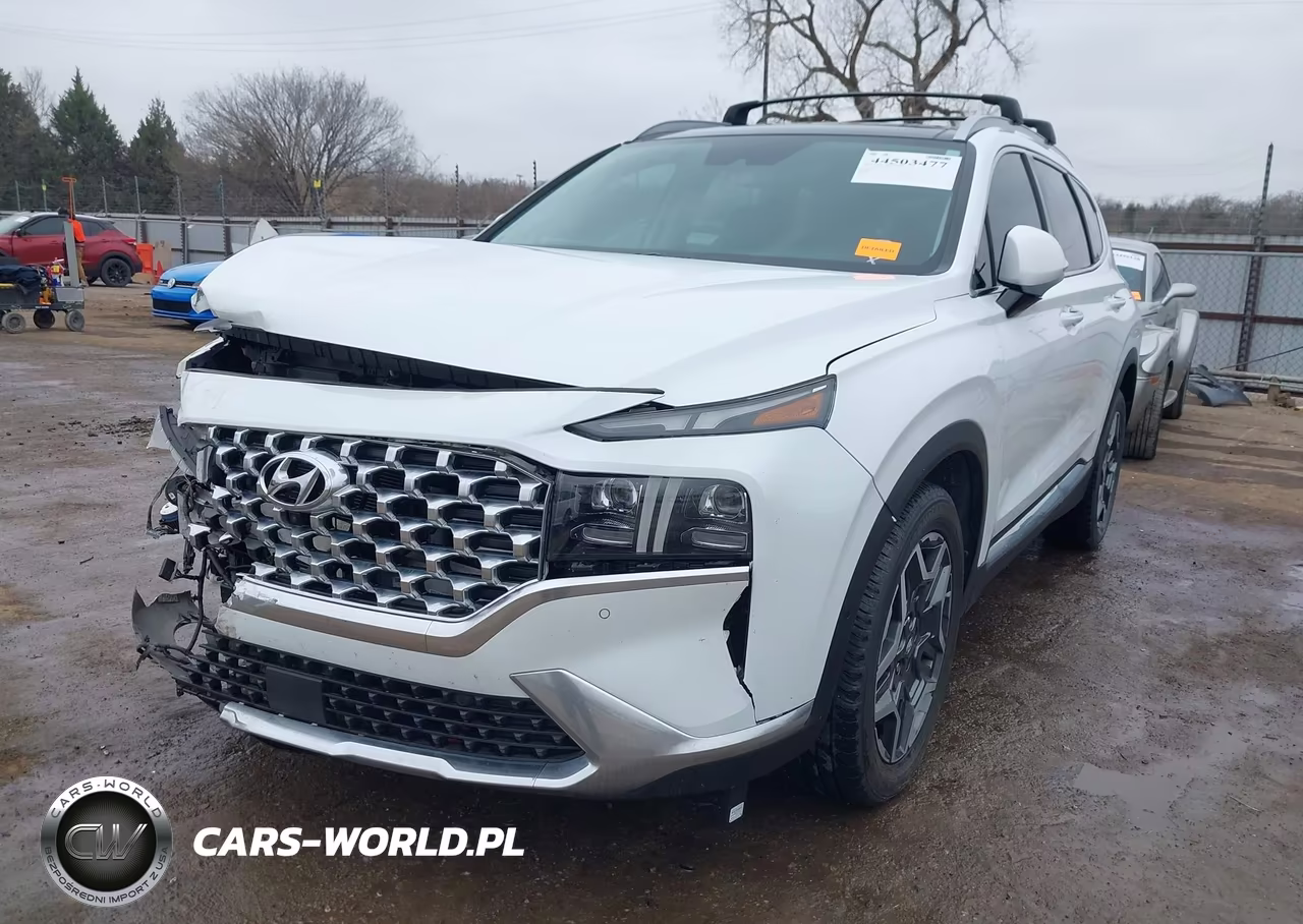 2021 Hyundai Santa Fe Limited VIN:5NMS44AL8MH316474 - 2