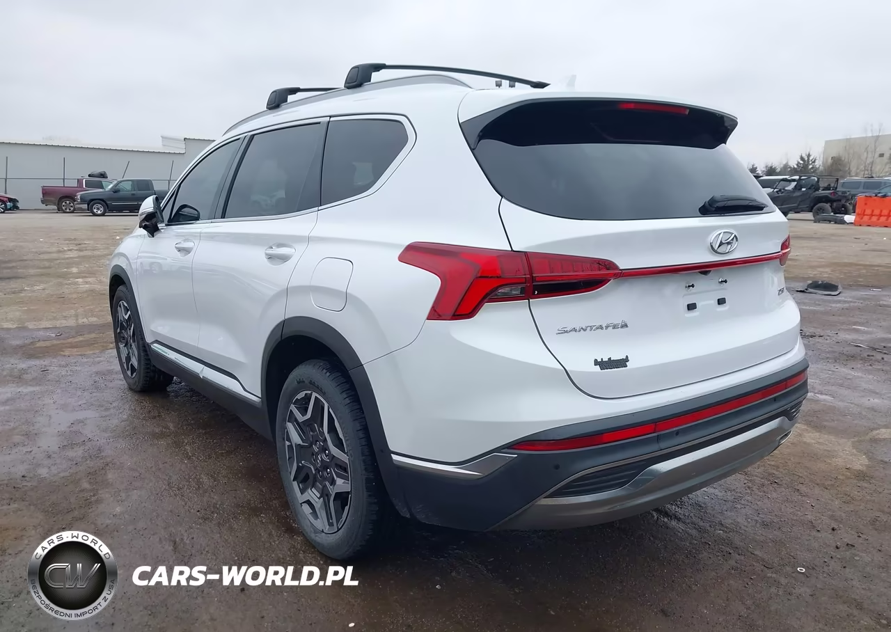 2021 Hyundai Santa Fe Limited VIN:5NMS44AL8MH316474 - 3