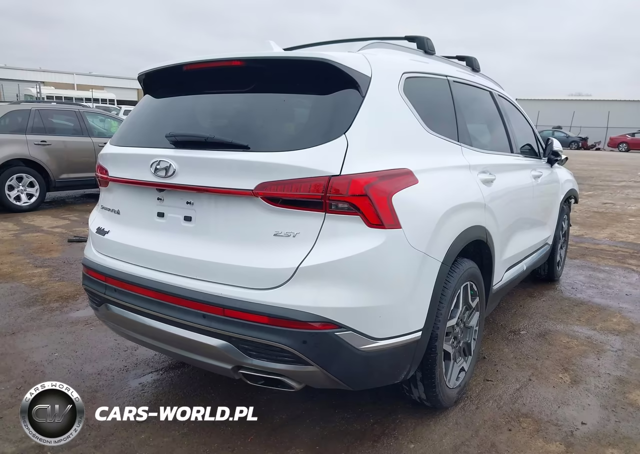 2021 Hyundai Santa Fe Limited VIN:5NMS44AL8MH316474 - 4