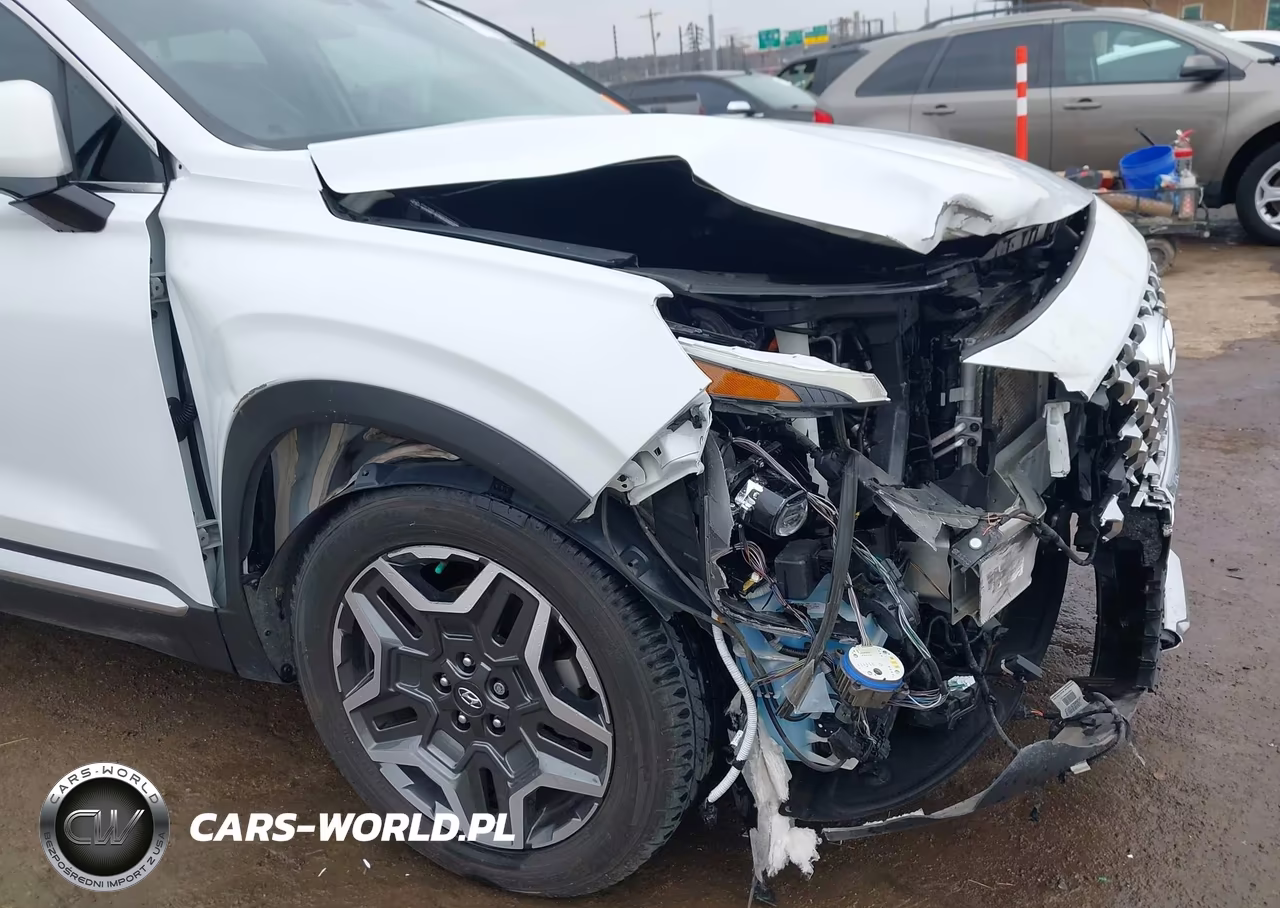 2021 Hyundai Santa Fe Limited VIN:5NMS44AL8MH316474 - 6