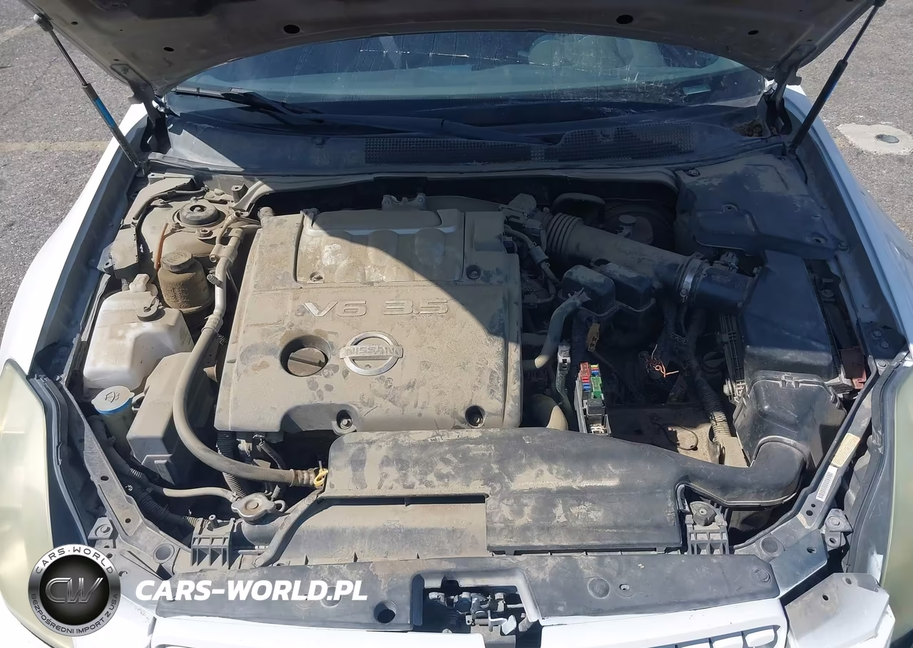 2004 Nissan Maxima 3.5 Sl VIN:1N4BA41E14C897184 - 10