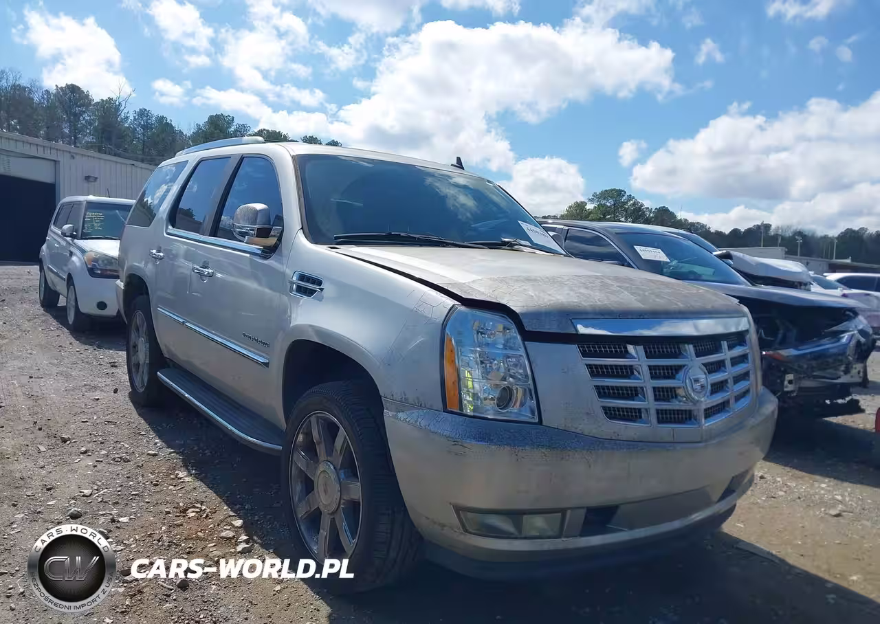 2010 Cadillac Escalade Luxury