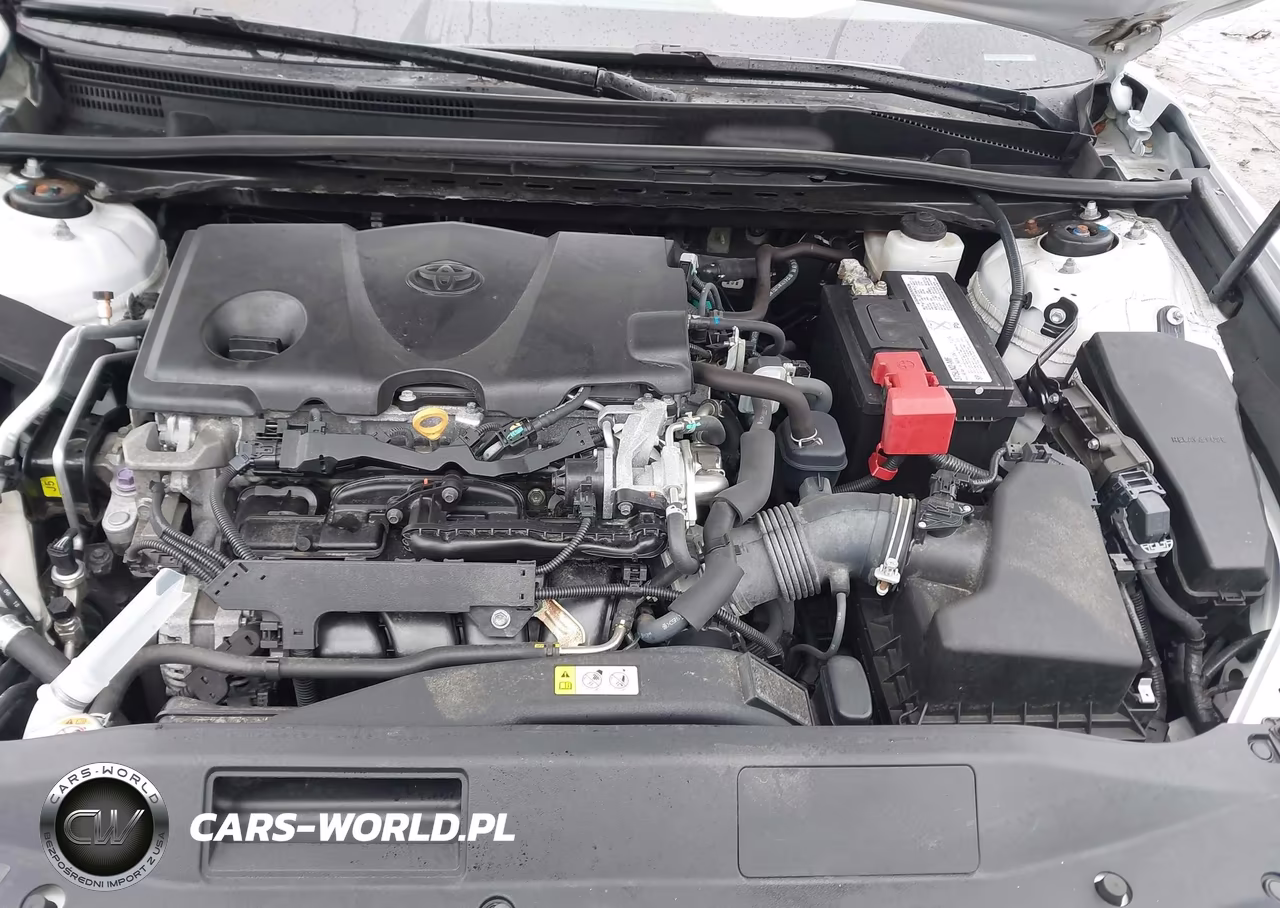 2019 Toyota Camry Xse VIN:4T1B61HK8KU201767 - 10