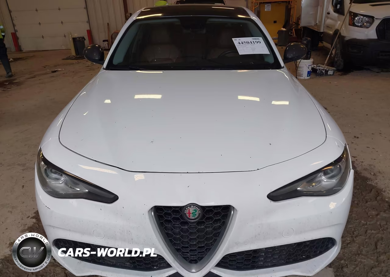 2017 Alfa Romeo Giulia Awd VIN:ZARFAEDN9H7555189 - 12