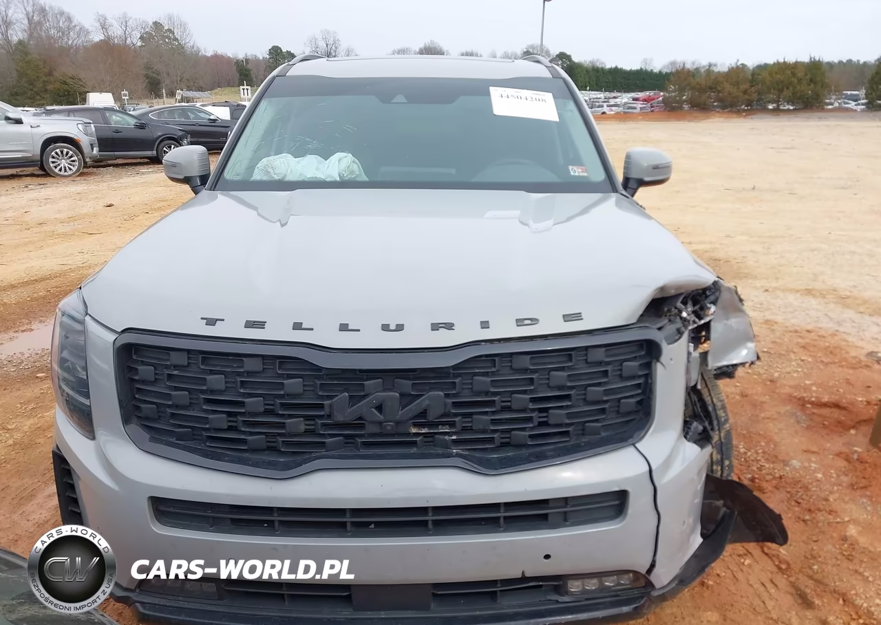 2022 Kia Telluride Sx VIN:5XYP5DHC6NG263293 - 12