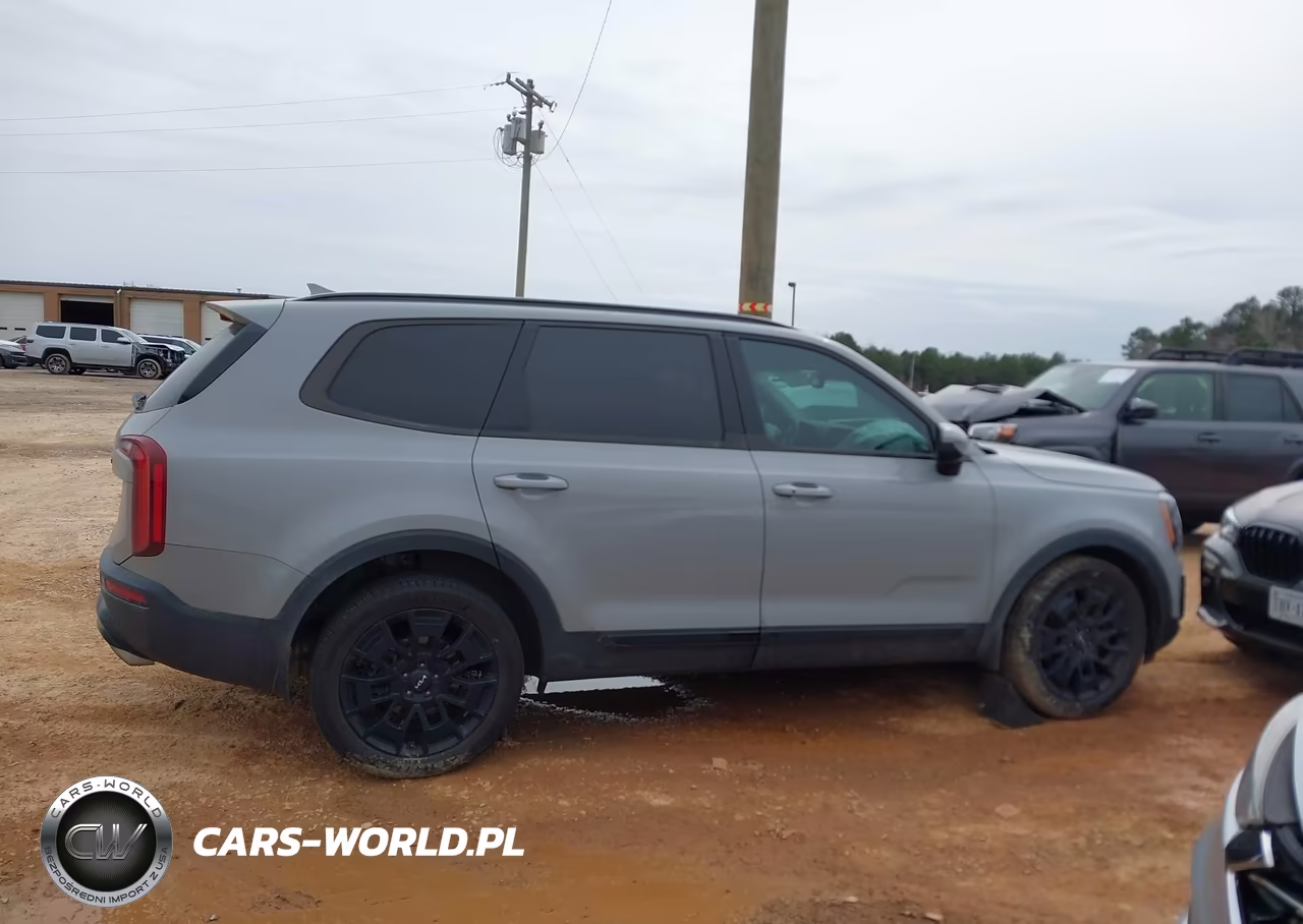 2022 Kia Telluride Sx VIN:5XYP5DHC6NG263293 - 13