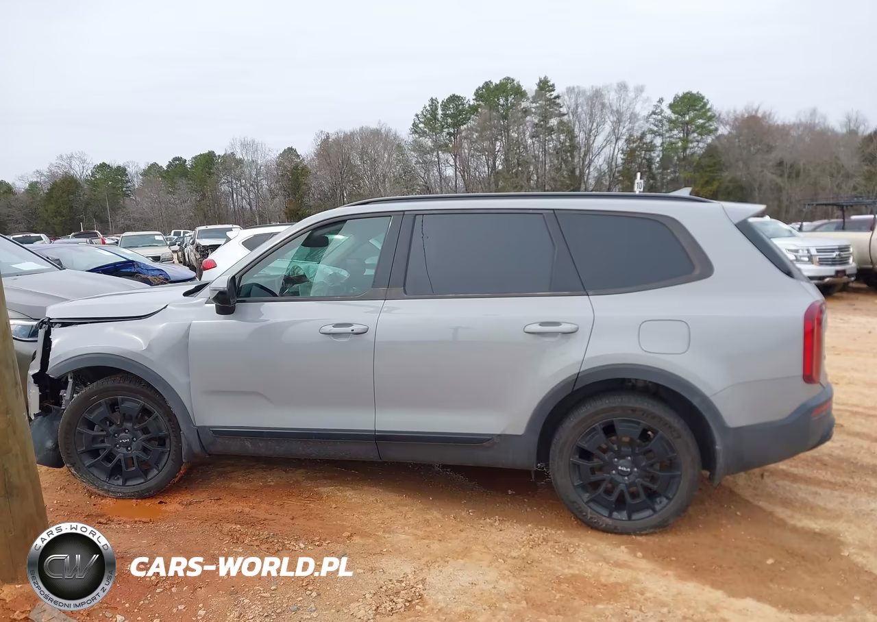 2022 Kia Telluride Sx VIN:5XYP5DHC6NG263293 - 14