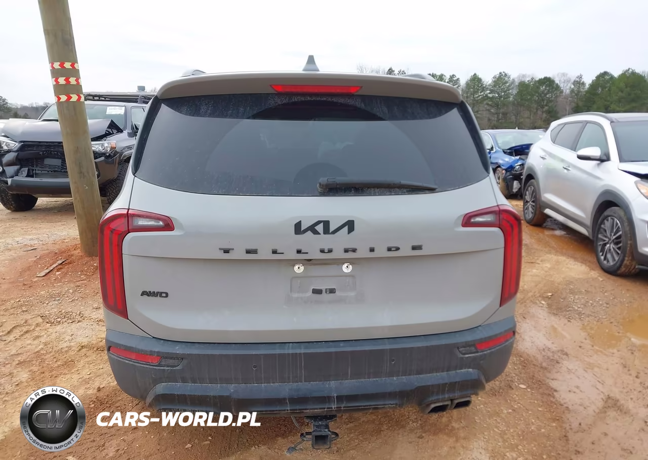 2022 Kia Telluride Sx VIN:5XYP5DHC6NG263293 - 16
