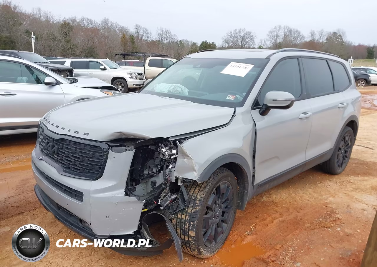2022 Kia Telluride Sx VIN:5XYP5DHC6NG263293 - 2