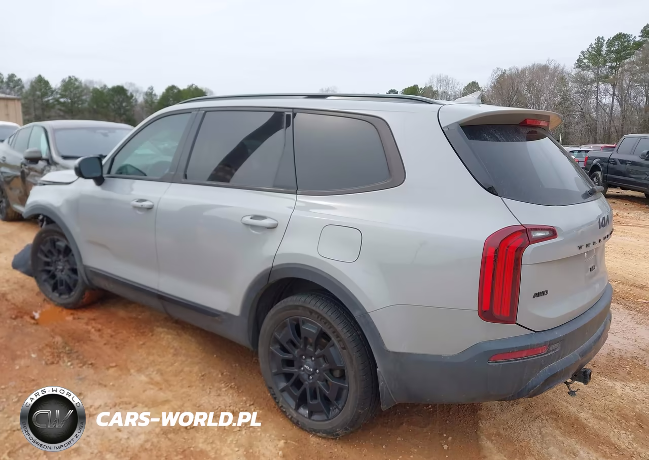 2022 Kia Telluride Sx VIN:5XYP5DHC6NG263293 - 3