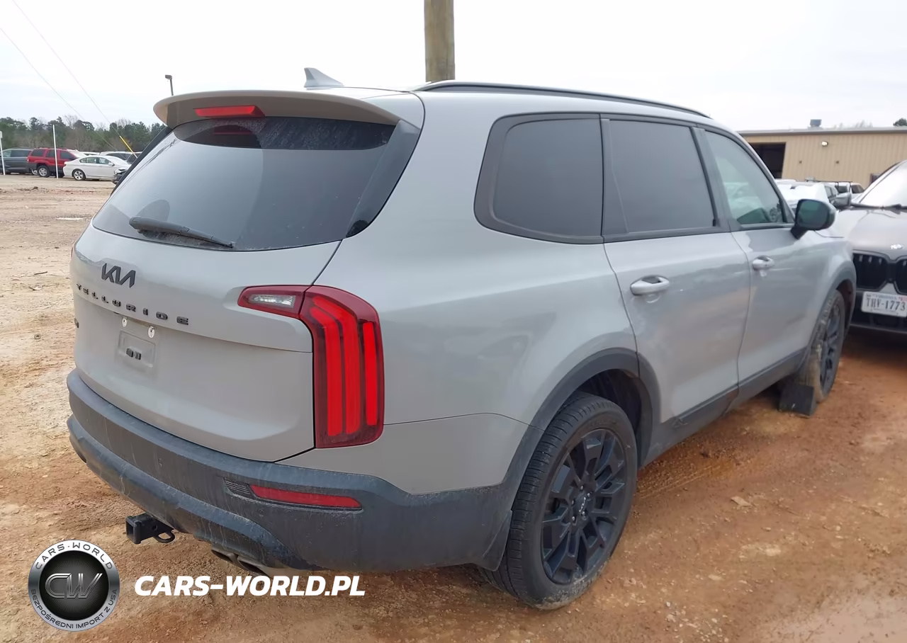 2022 Kia Telluride Sx VIN:5XYP5DHC6NG263293 - 4