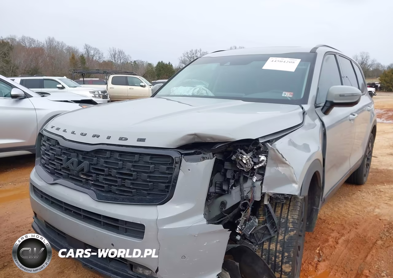 2022 Kia Telluride Sx VIN:5XYP5DHC6NG263293 - 6