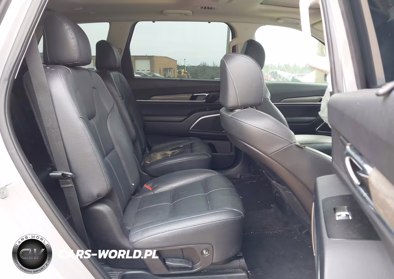 2022 Kia Telluride Sx VIN:5XYP5DHC6NG263293 - 8