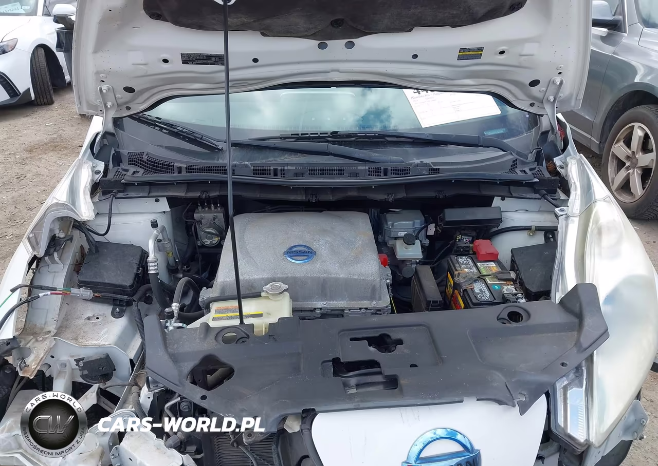 2013 Nissan Leaf S VIN:1N4AZ0CP1DC420668 - 10