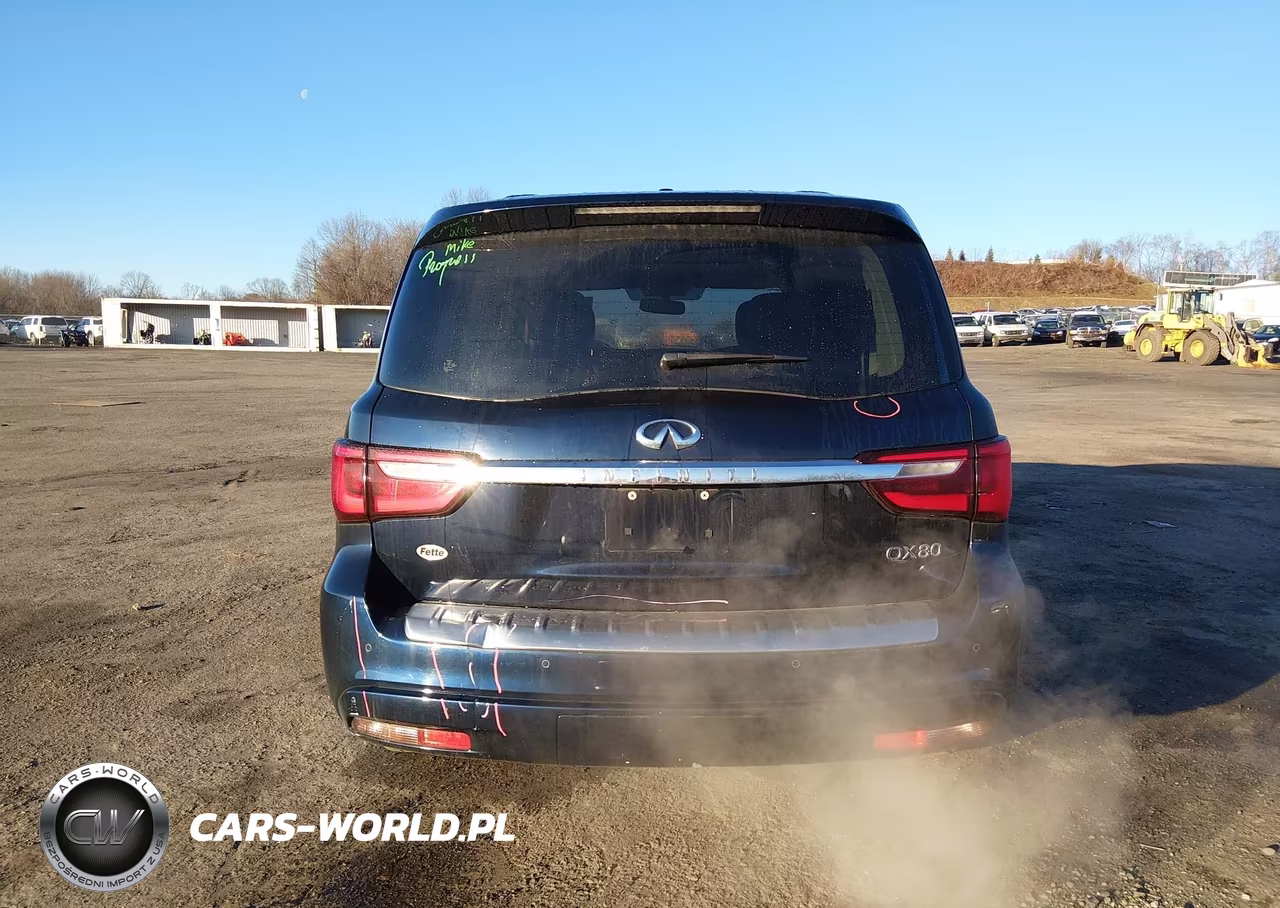 2019 Infiniti Qx80 Luxe VIN:JN8AZ2NE6K9225777 - 16