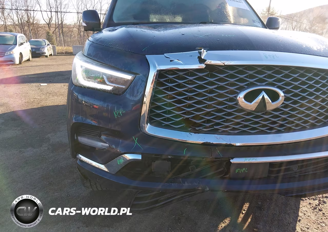 2019 Infiniti Qx80 Luxe VIN:JN8AZ2NE6K9225777 - 17